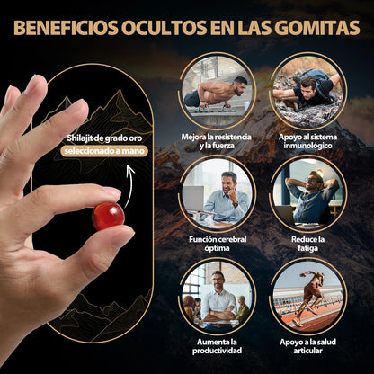 WindBoss™ Restaura Riñones Shilajit con 75% Ácido Fúlvico