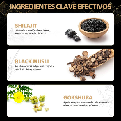 WindBoss™ Restaura Riñones Shilajit con 75% Ácido Fúlvico