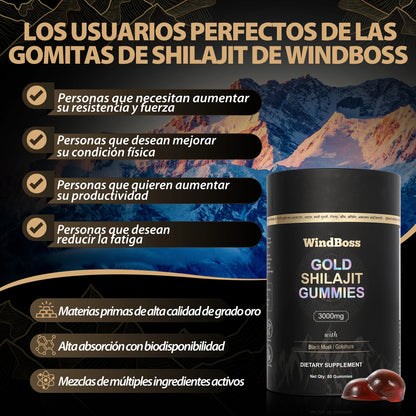 WindBoss™ Restaura Riñones Shilajit con 75% Ácido Fúlvico